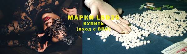 стафф Бородино
