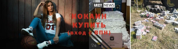 стафф Бородино