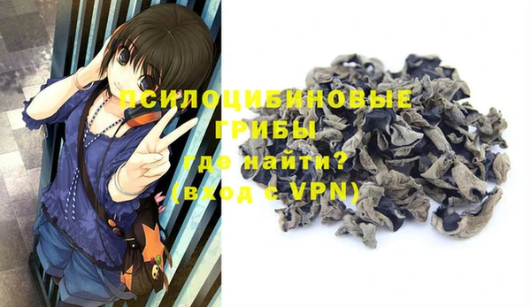 стафф Бородино