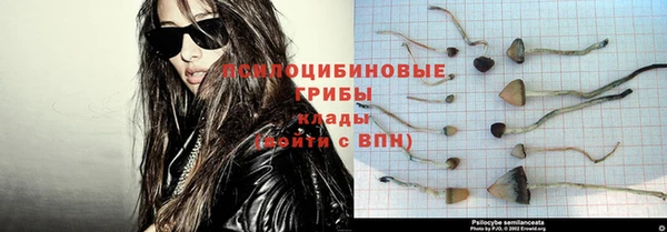 стафф Бронницы