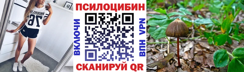 Галлюциногенные грибы мухоморы Гуково
